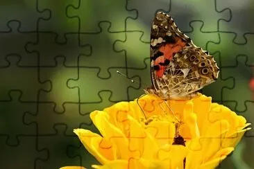 Imagem jigsaw puzzle