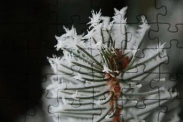 Imagem jigsaw puzzle