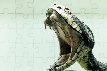 Imagem jigsaw puzzle