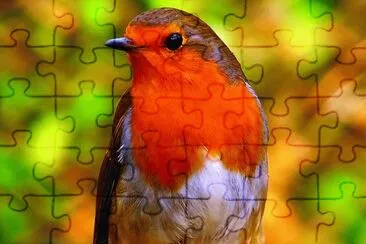 Imagem jigsaw puzzle