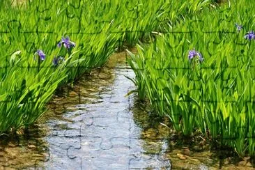 Nature jigsaw puzzle