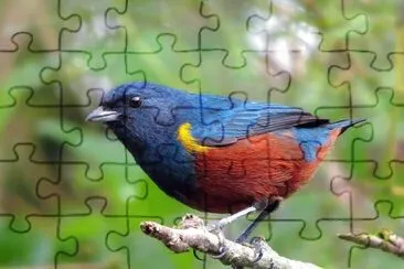 פאזל של Imagem