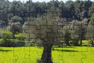 Imagem jigsaw puzzle
