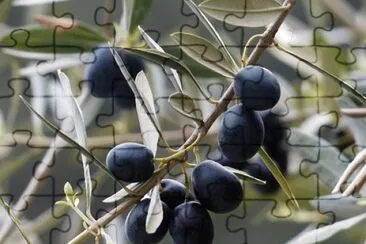 Imagem jigsaw puzzle