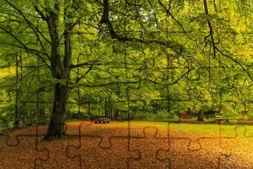 Imagem jigsaw puzzle