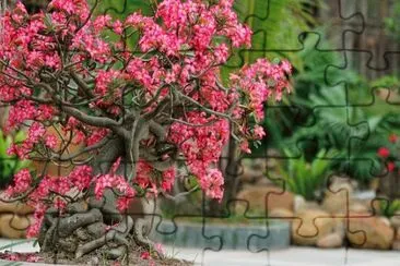 Imagem jigsaw puzzle