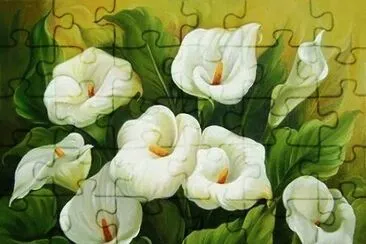 alcatraces rosas