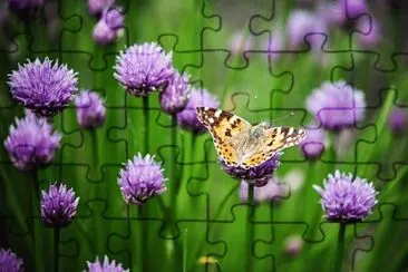OK jigsaw puzzle