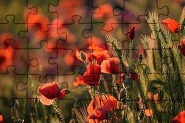 OK jigsaw puzzle