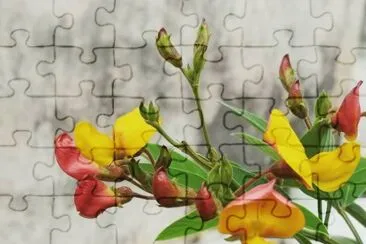 OK jigsaw puzzle