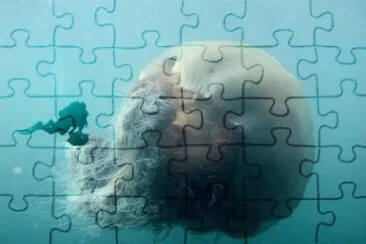 increible jigsaw puzzle