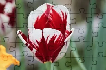 OK jigsaw puzzle