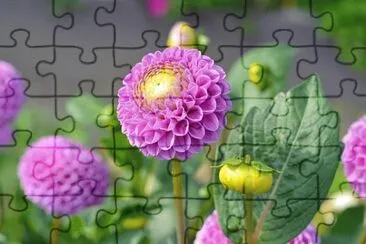 OK jigsaw puzzle