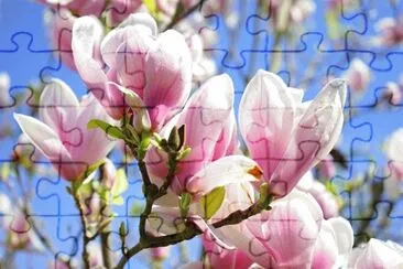 OK jigsaw puzzle