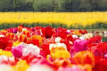 OK jigsaw puzzle