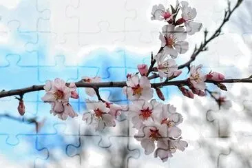 OK jigsaw puzzle