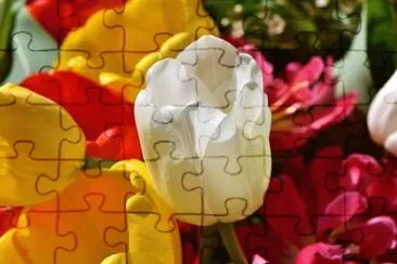 OK jigsaw puzzle