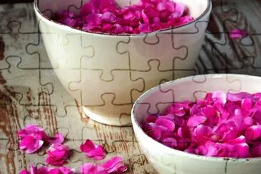 פאזל של rose