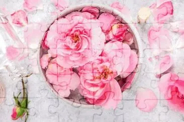 פאזל של rose