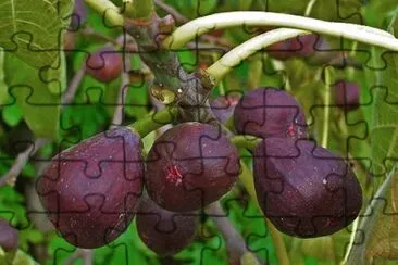 Imagem jigsaw puzzle