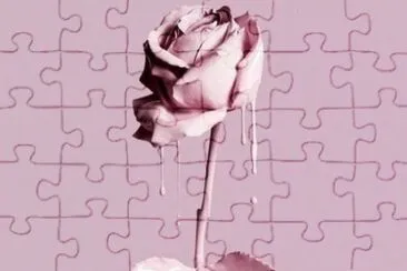 fra98 jigsaw puzzle