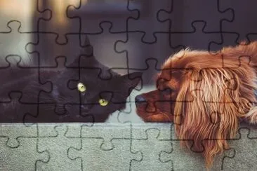 friends jigsaw puzzle
