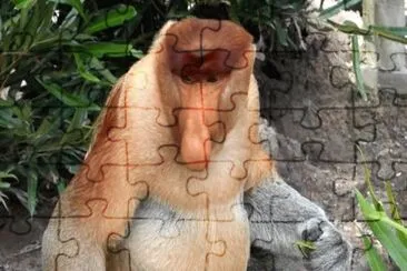 Imagem jigsaw puzzle