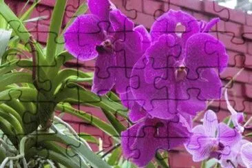 OK jigsaw puzzle
