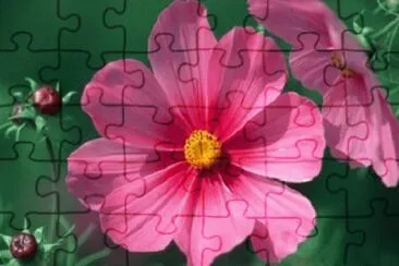 OK jigsaw puzzle