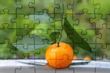 Imagem jigsaw puzzle