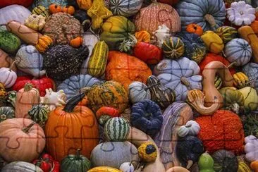 פאזל של Pumpkins