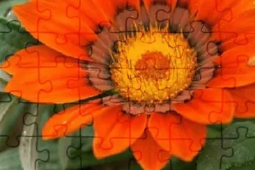 Foto jigsaw puzzle