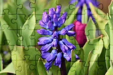 OK jigsaw puzzle
