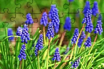 OK jigsaw puzzle