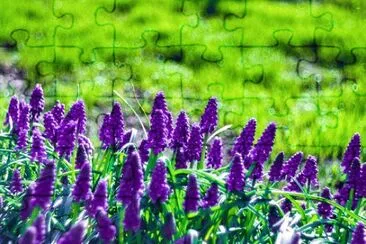 OK jigsaw puzzle