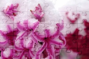 OK jigsaw puzzle