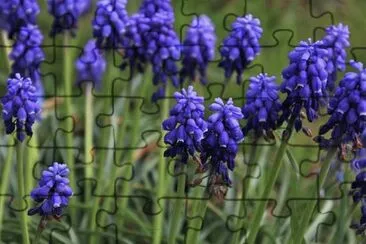 OK jigsaw puzzle