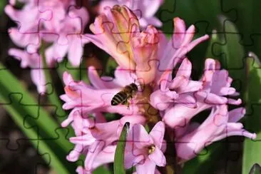 OK jigsaw puzzle