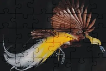 Birds jigsaw puzzle