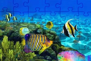 Hawaiian Ocean jigsaw puzzle