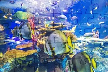 Ocean jigsaw puzzle