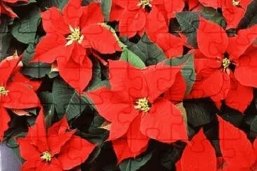 OK jigsaw puzzle