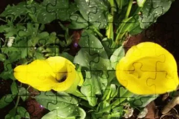 OK jigsaw puzzle