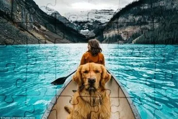 Dog jigsaw puzzle