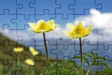OK jigsaw puzzle