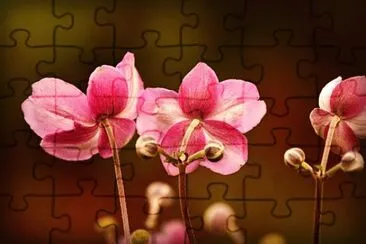 OK jigsaw puzzle