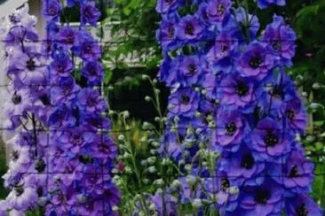 OK jigsaw puzzle