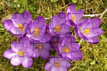 OK jigsaw puzzle