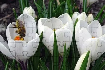 OK jigsaw puzzle