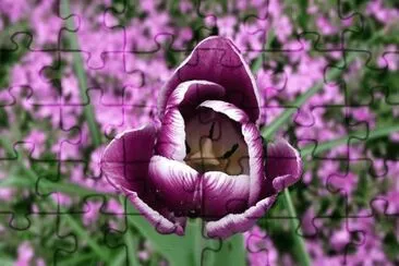 OK jigsaw puzzle